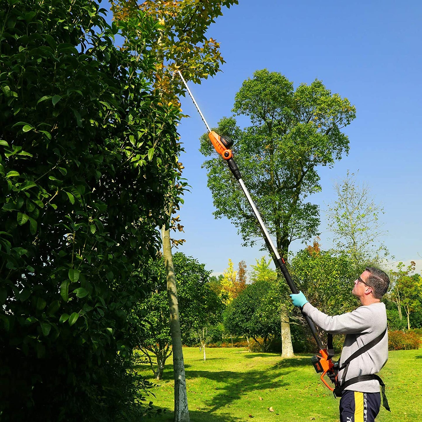 GARCARE Hedge Trimmers Cordless - Pole Hedge Trimmers/Tree Trimmer with 20V 4.0Ah Li-Ion Battery & Quick Charger, 450mm Laser Cut Blade, Folding Saw & Pruning Shears Included