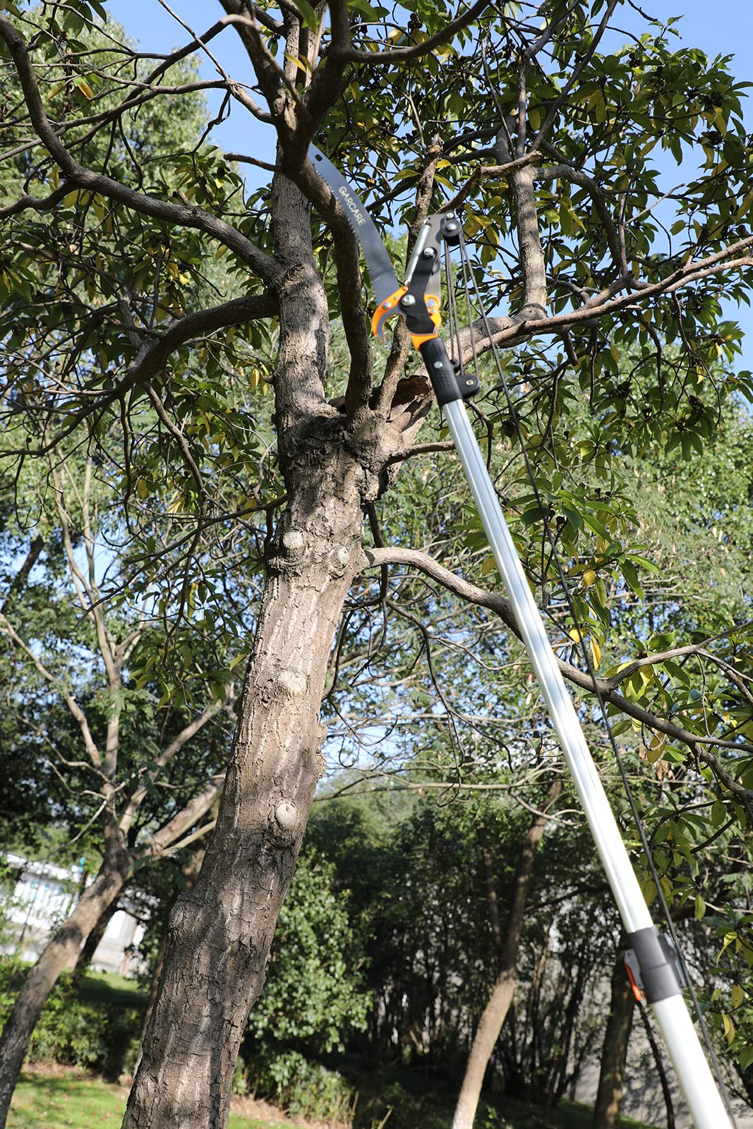 GARCARE 2 in 1 Pole Saw for Tree trimming & Tree Pruner Extendable Branch cutter with 1.57'' Cutting Capacity, Adjustable Length 4.8 - 6.9 Ft